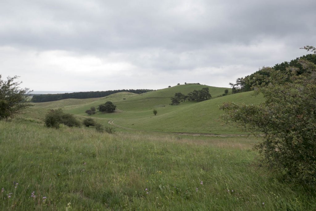 Halbinsel Mönchgut, Rügen, Ostsee, Zickersche Berge (8)