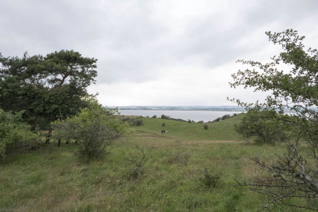 Halbinsel Mönchgut, Rügen, Ostsee, Zickersche Berge (6)