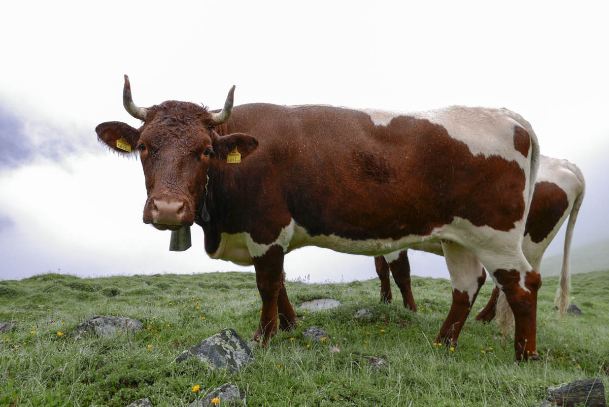 Felbertauern Felber Tauern (6)