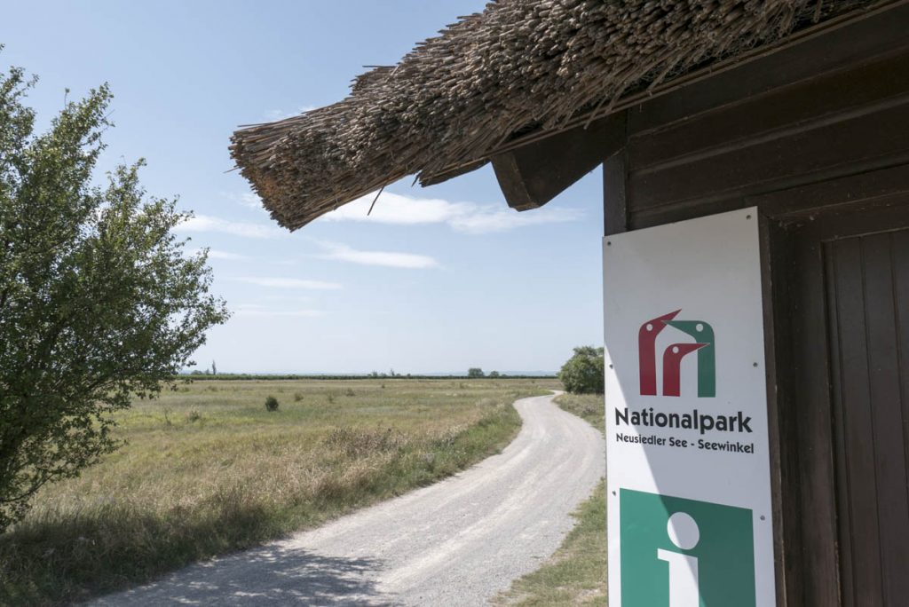 An der Langen Lacke, einer der wichtigsten Zonen des Nationalpark Neusiedler See- Seewinkel