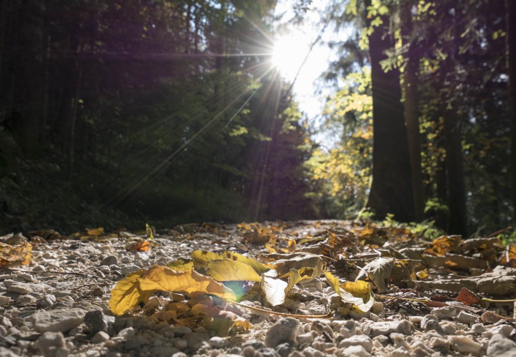 Hutschn-Marxenhöhe-5