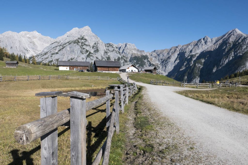 Walderalm. Und herrlicher Karwendelblick.