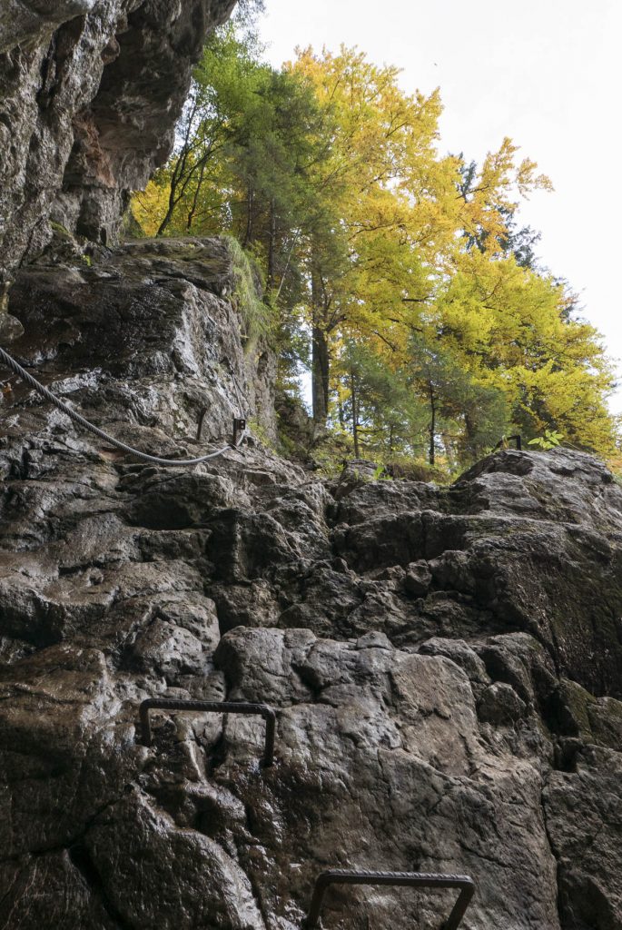 Aufschwung am Röthsteig