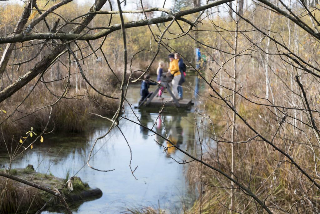 Hochmoor_Benediktbeuern-4