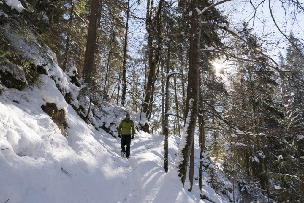 Winterspaziergang zur Scheibum