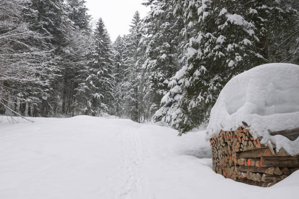 Frillenseerunde-Chiemgau-Inzell-1