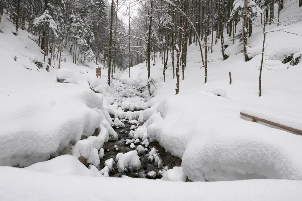 Frillenseerunde-Chiemgau-Inzell-2