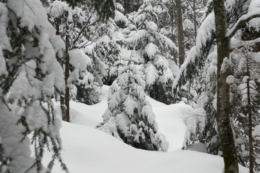 Frillenseerunde-Chiemgau-Inzell-4