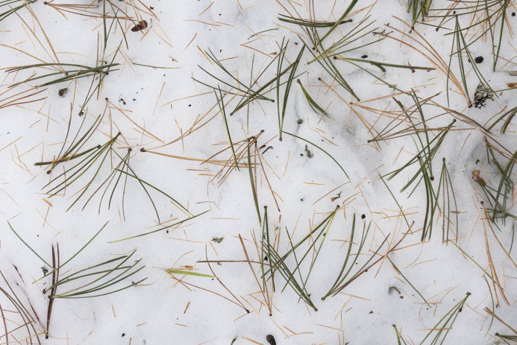 Reiteralm-3