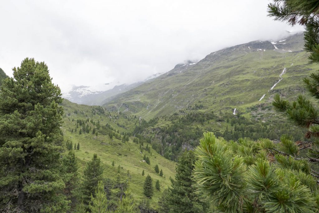Ötztal, Obergurgler Zirbenwald (2) 