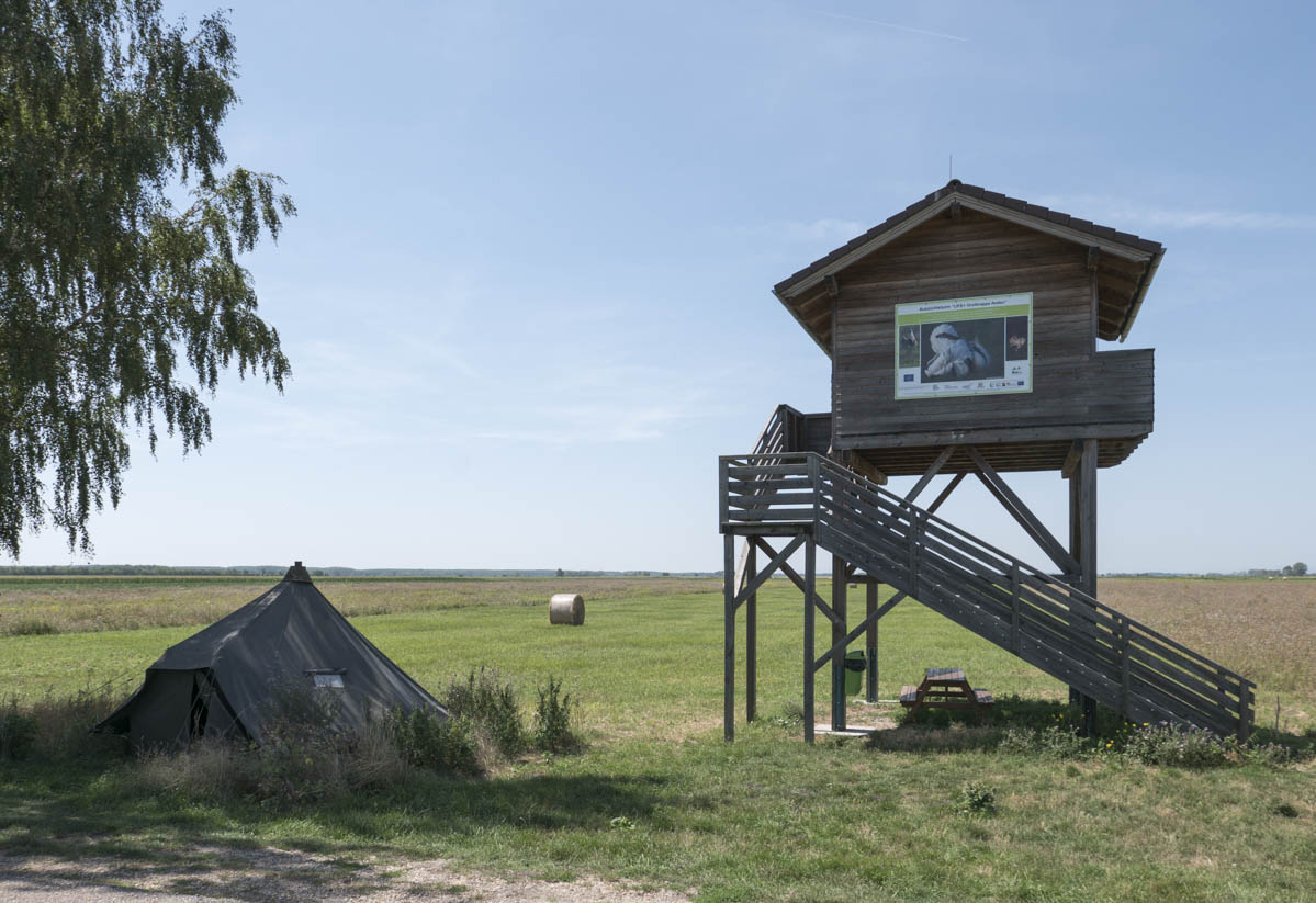 Aussichtsturm Andau