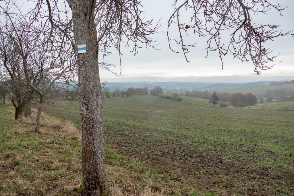 Das Erzgebirge hügelt sich auf.