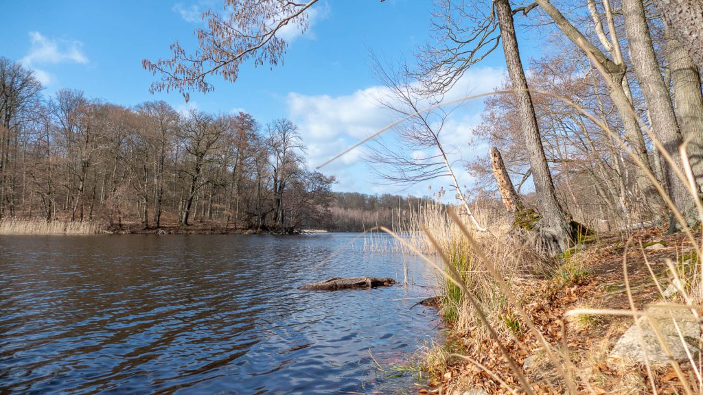 Großer Schwarzer See