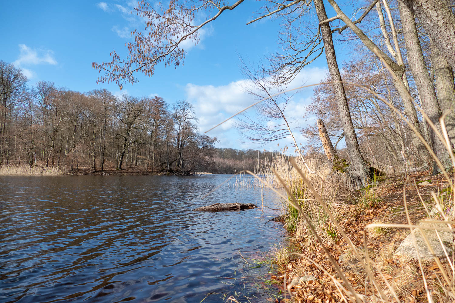 Großer Schwarzer See