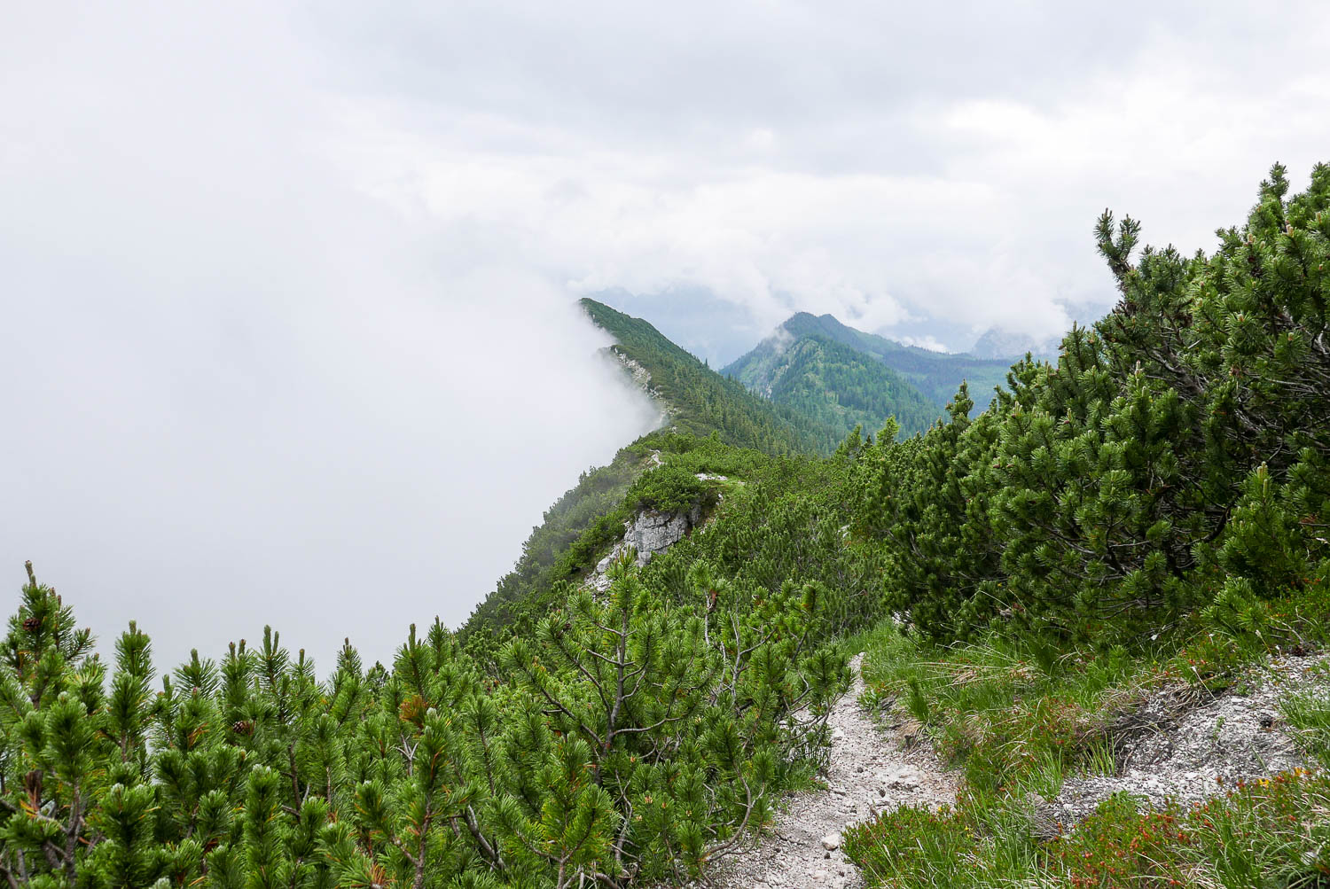 Unterwegs zum Predigtstuhl. Am Karkopf.