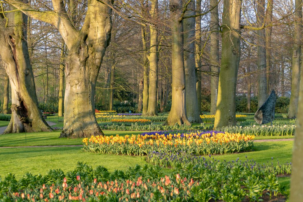 Keukenhof in Holland