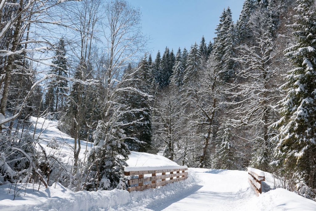 Winter an der Halbammer. In den Ammergauer Alpen.