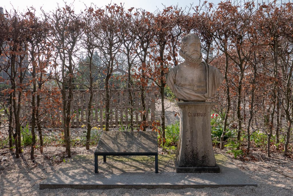 Clusius vor seinem Garten 