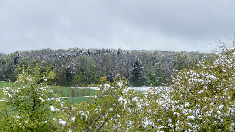 Nationalpark Hainich: An der Hainich-Baude.