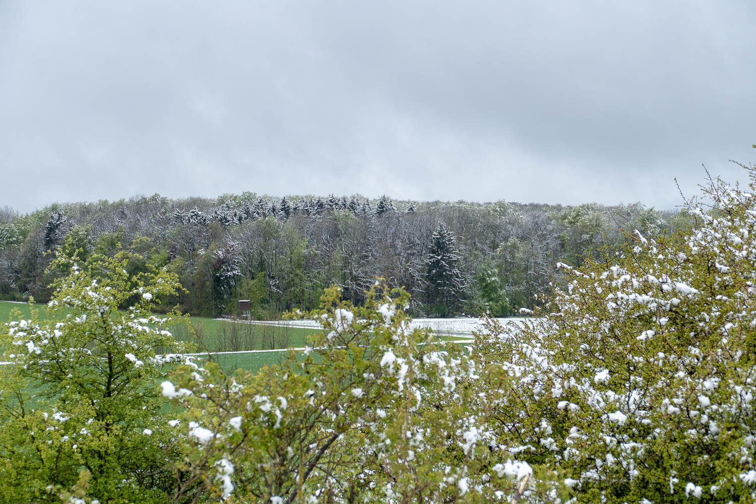 Nationalpark Hainich: An der Hainich-Baude.
