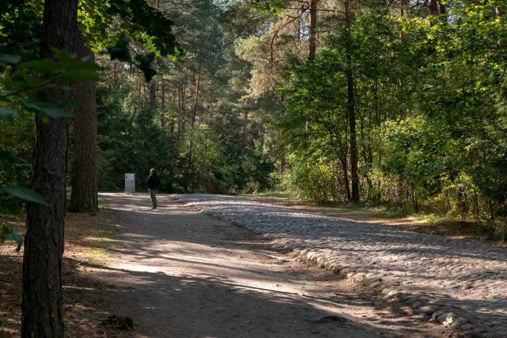 Waldweg nach Treblinka II