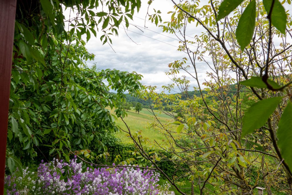 Bienen-Abflugschneise ins Kainsbachtal