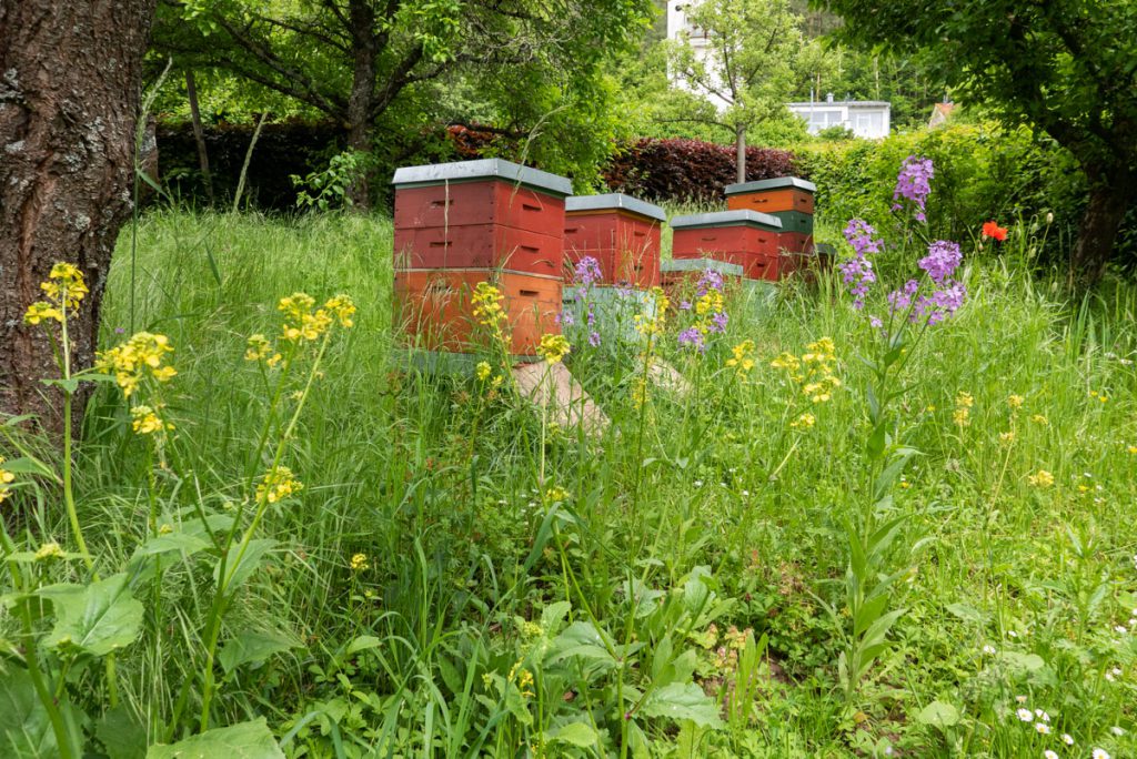 Bienenkästen der Honigwanderer.