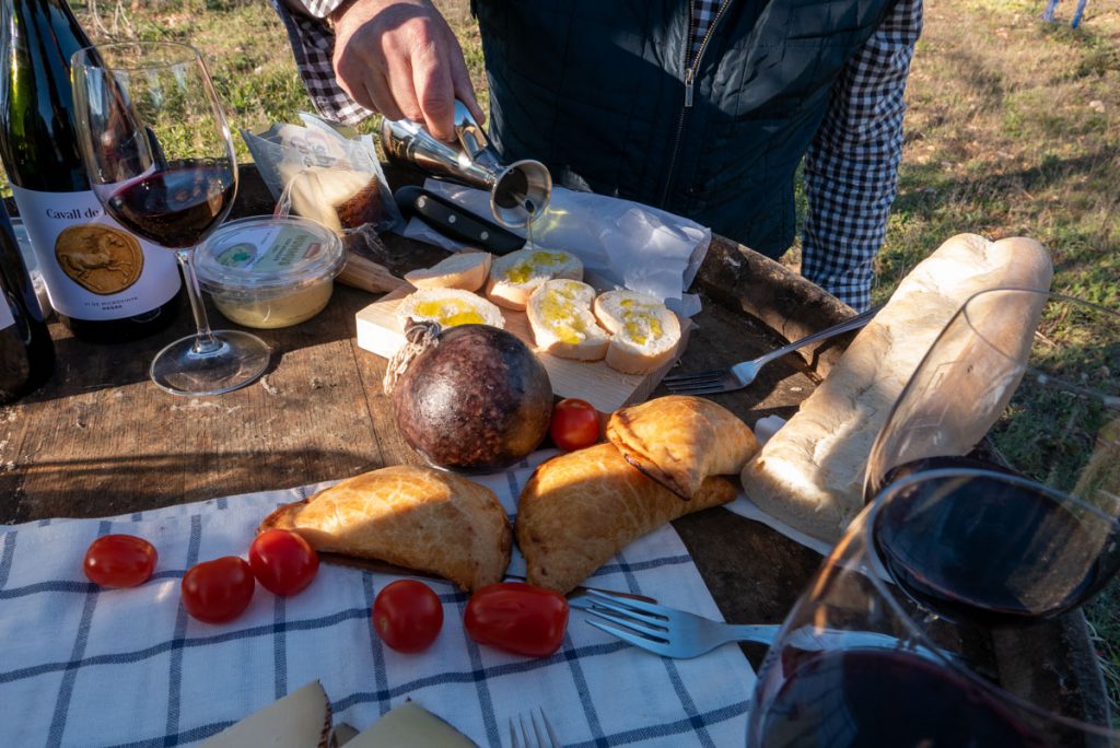 Picknick bei den Rebstöcken.