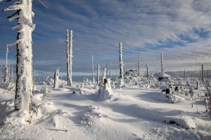 Am Dreiländereck (Bayerischer Wald)