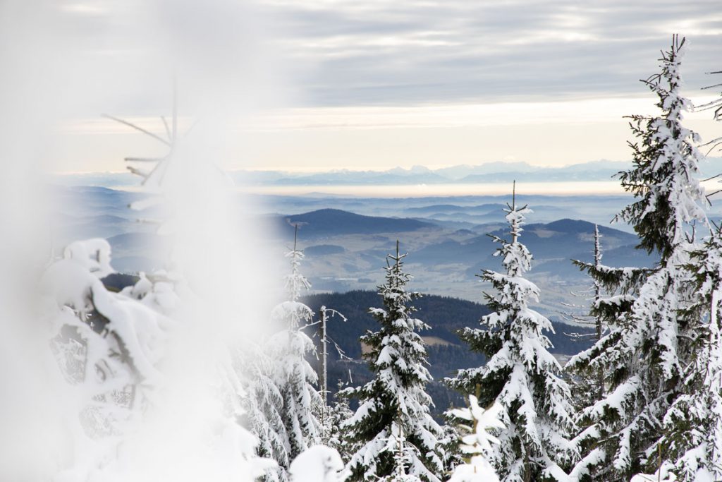 Blick vom Bayerischen Wald in die Alpen