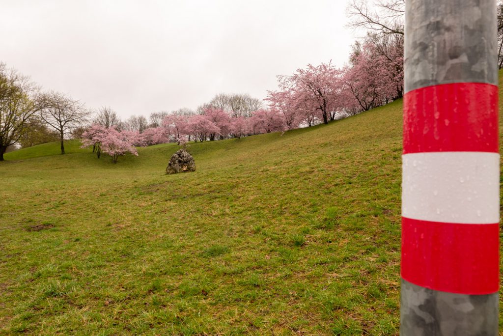 T1: Samstag, 21. März 2020, 9:37. - Elegischer Regen.