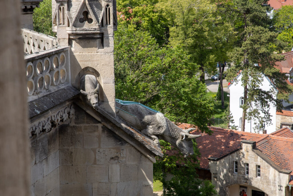 Wasserspeier am Naumburger Dom