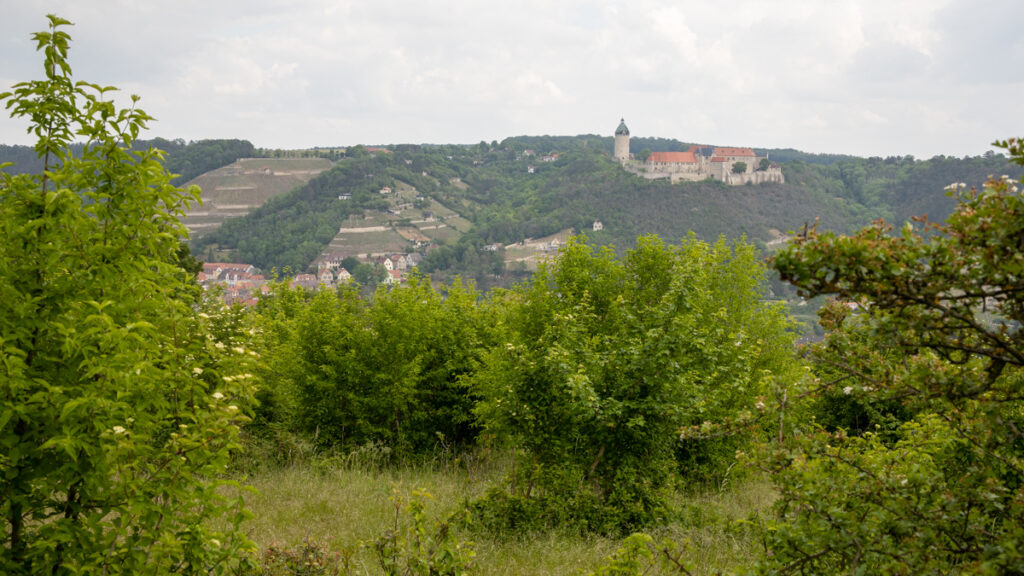 Blick vom Rödel auf Freyburg