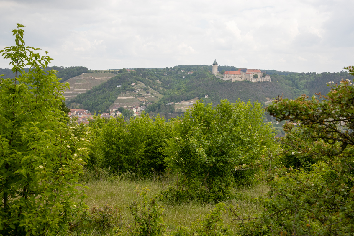 Blick vom Rödel auf Freyburg