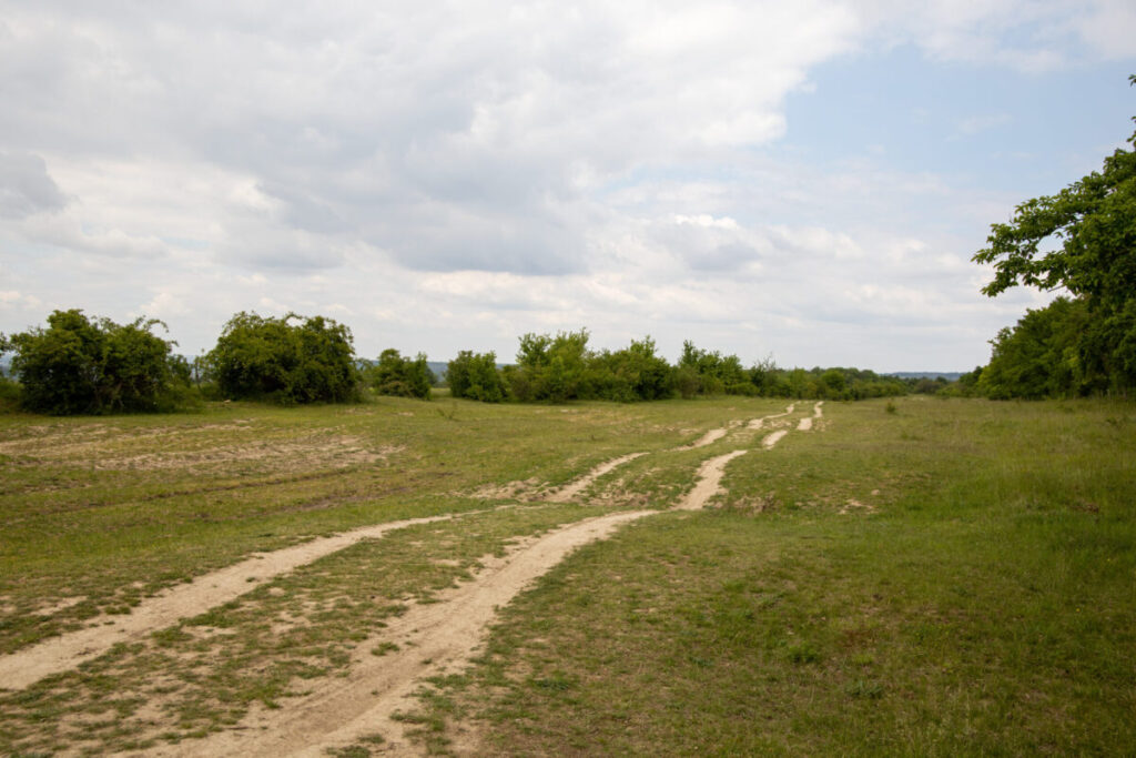 Ehemaliges Panzerfahrgelände auf dem Rödel