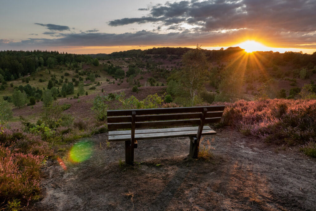 Septemberabend im Totengrund, Lüneburger Heide (3)