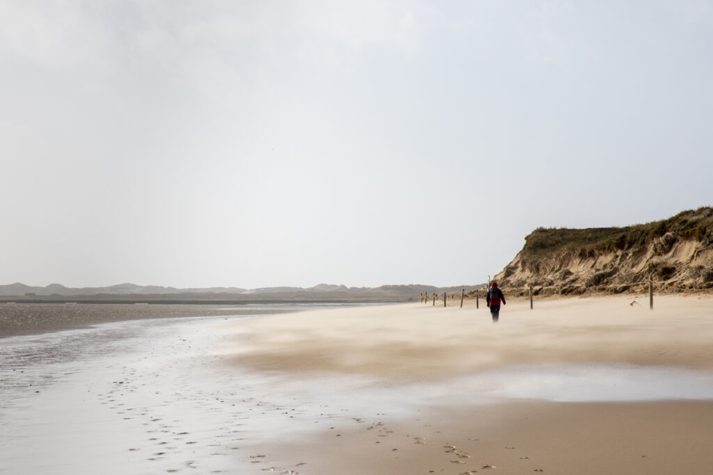 Strandläuferin