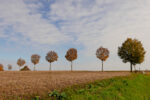 Der Herbst lässt grüßen.