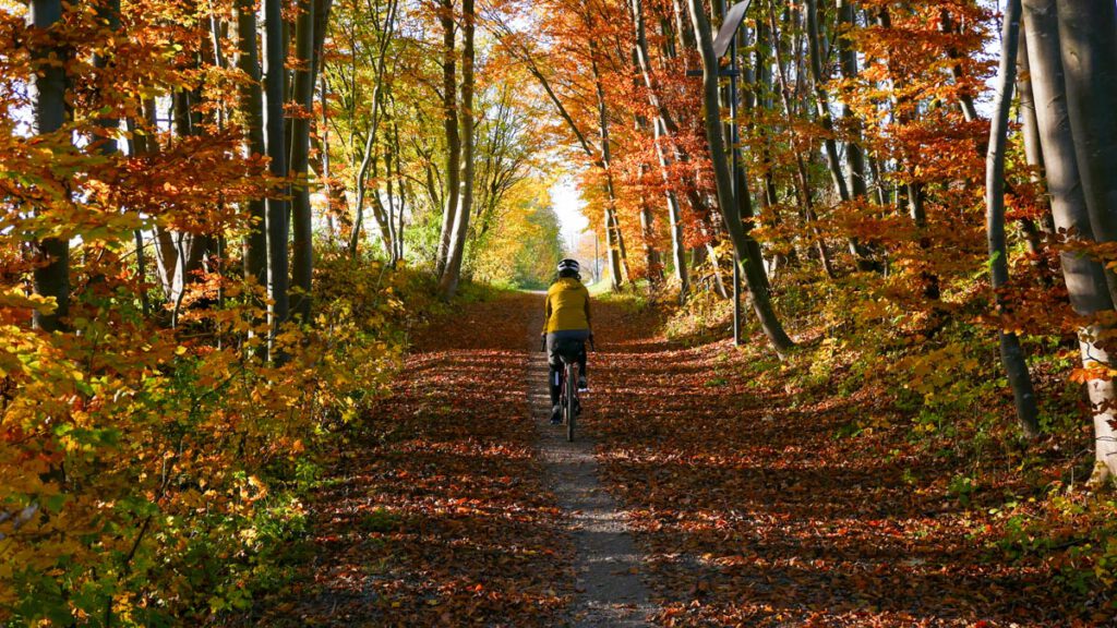 Mit dem Rad um München: Herbst nahe der Mangfall