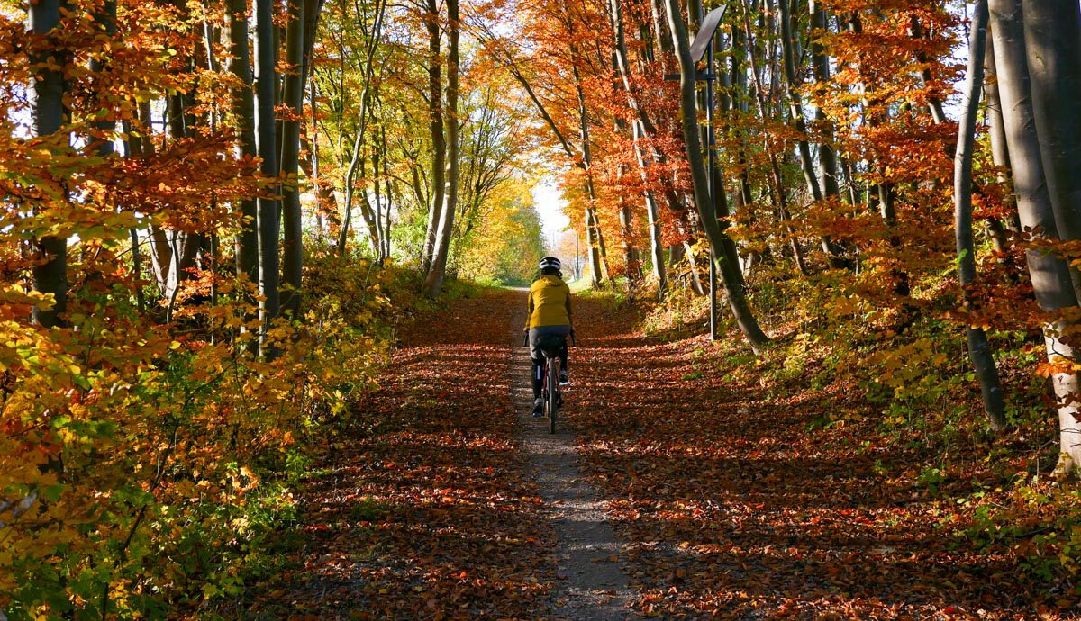 Mit dem Rad um München: Herbst nahe der Mangfall