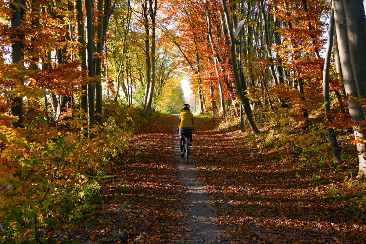 Mit dem Rad um München: Herbst nahe der Mangfall