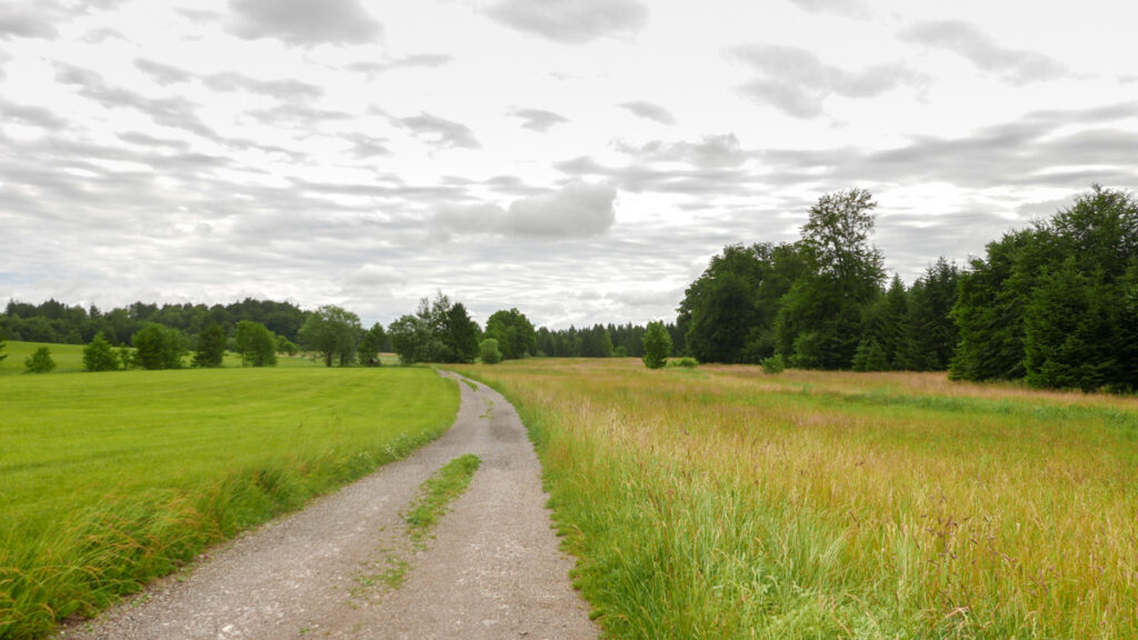 Wiesen rund um den Jexhof