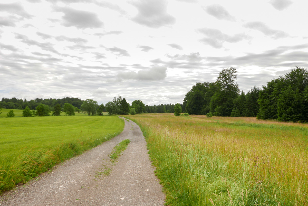 Wiesen rund um den Jexhof