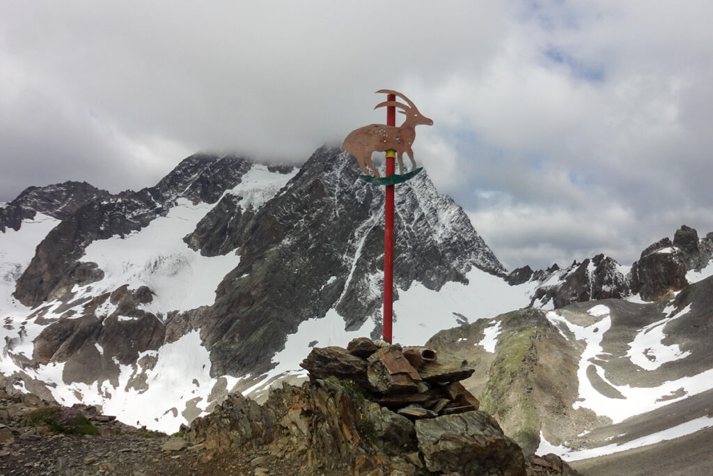 Pitztaltour (2) - Am Steinbockjoch