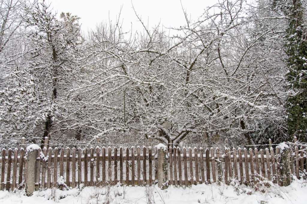 Die alte Eggarten-Siedlung in München, Januar 2021.