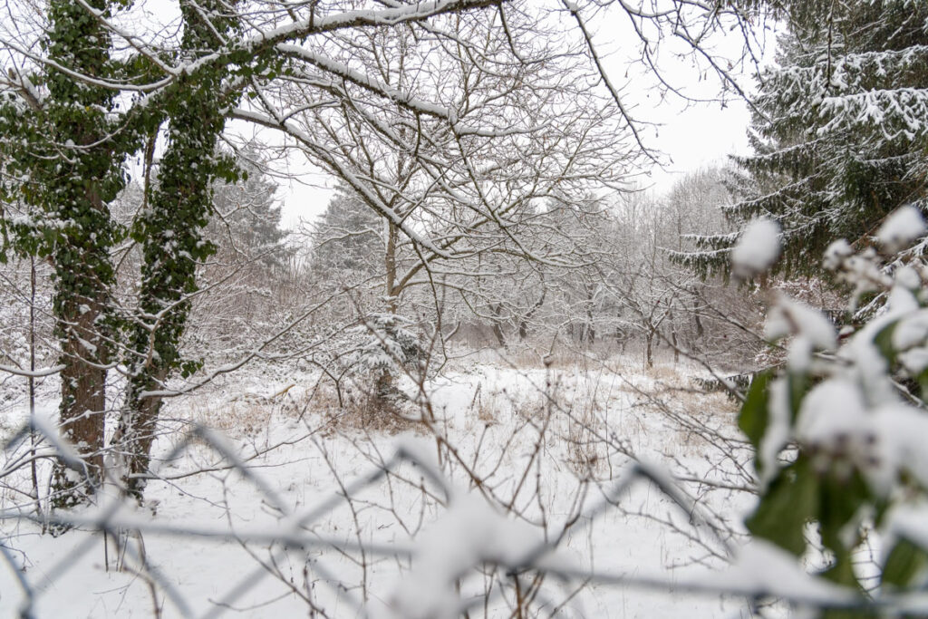 Die alte Eggarten-Siedlung in München, Januar 2021.