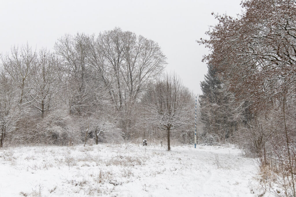 Die alte Eggarten-Siedlung in München, Januar 2021.