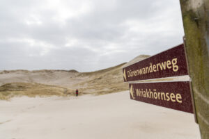 Durch die Dünen. Auf Amrum.