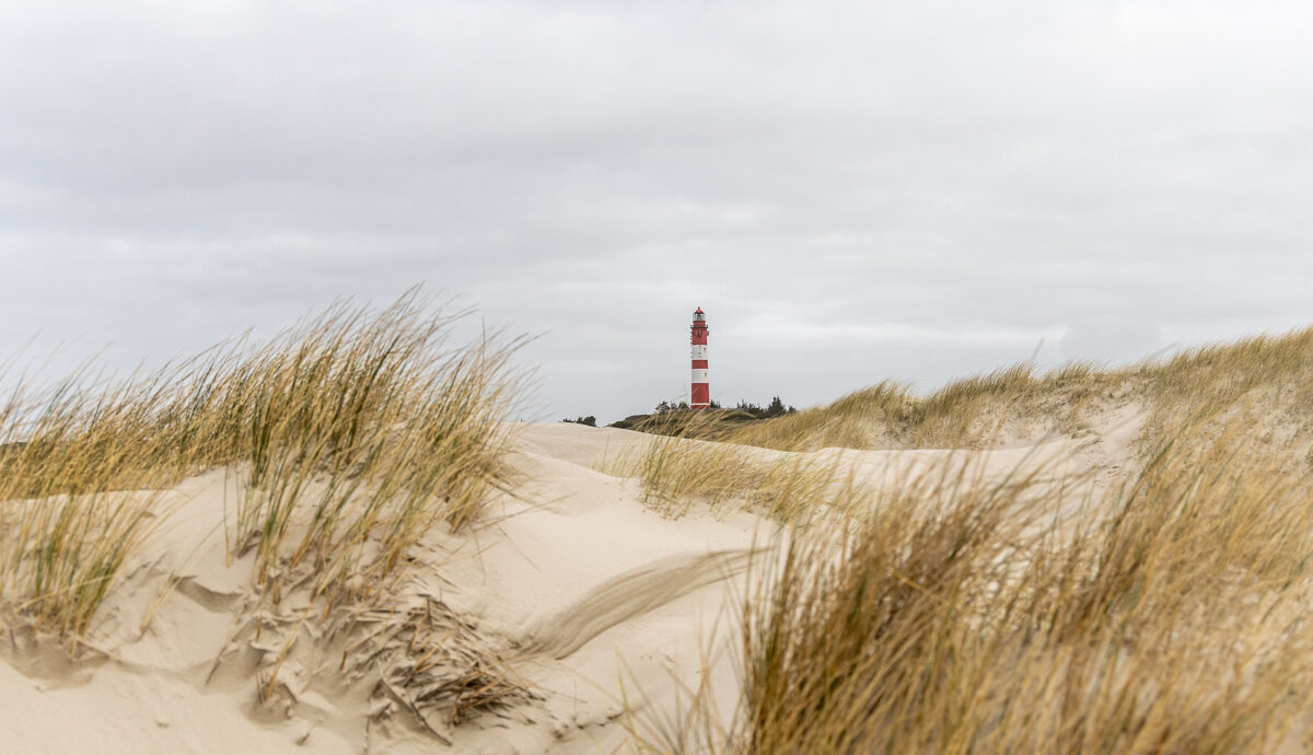 Rückblick durch die Dünen