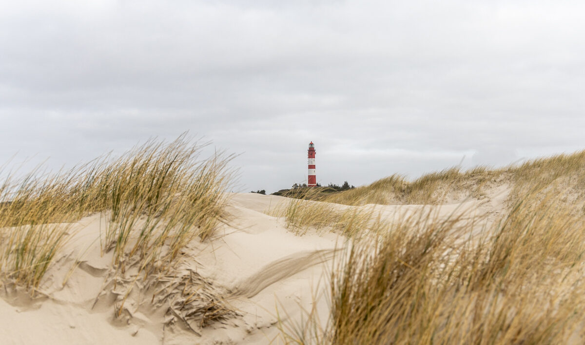 Rückblick durch die Dünen